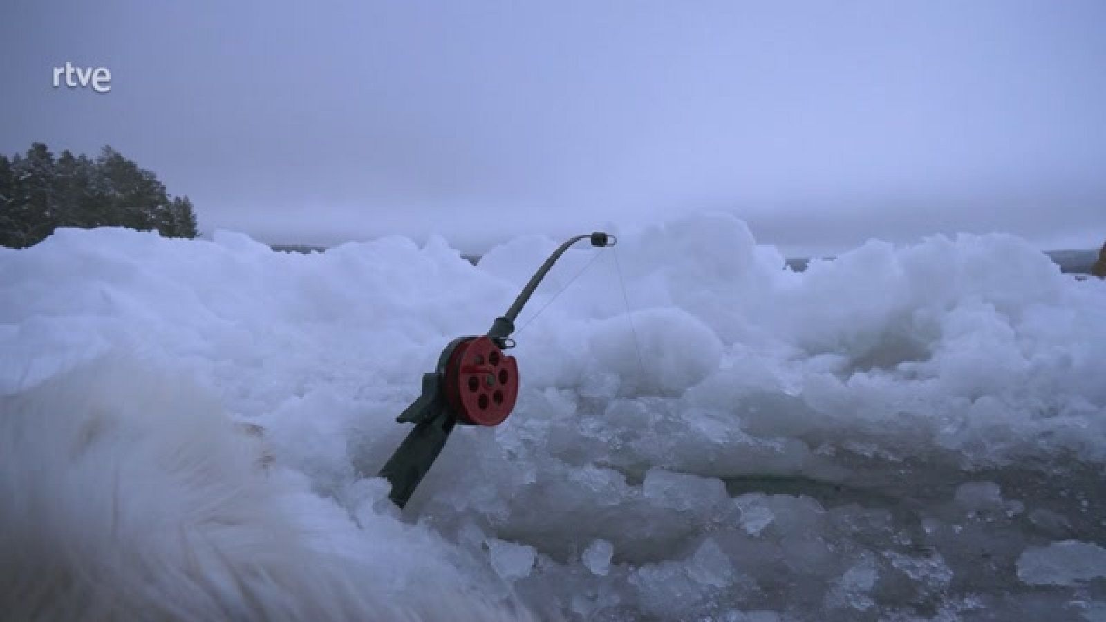 Aquí la Tierra - Así es la pesca tradicional sobre hielo en Laponia