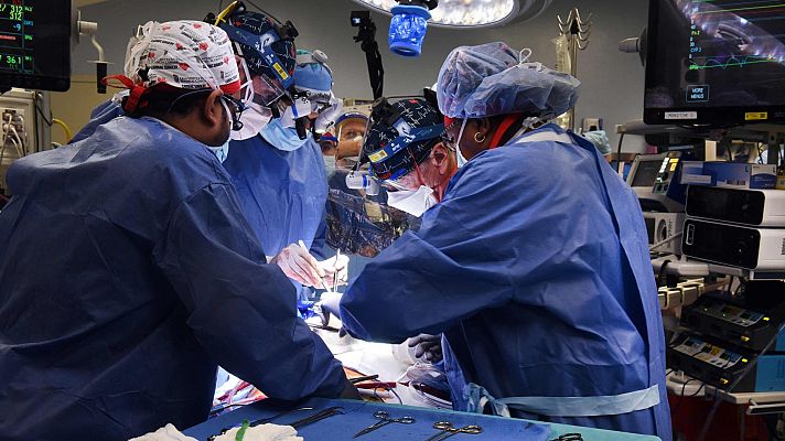 Telediario Matinal - Trasplantan con éxito un corazón de cerdo a un hombre en Estados Unidos