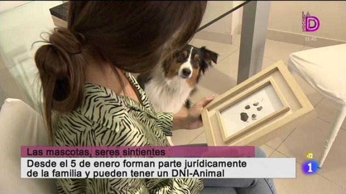 Cerca de ti - Cerca de ti - 11/01/2022