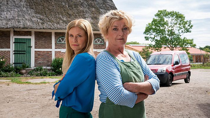 Cine internacional - Solo se vive una vez