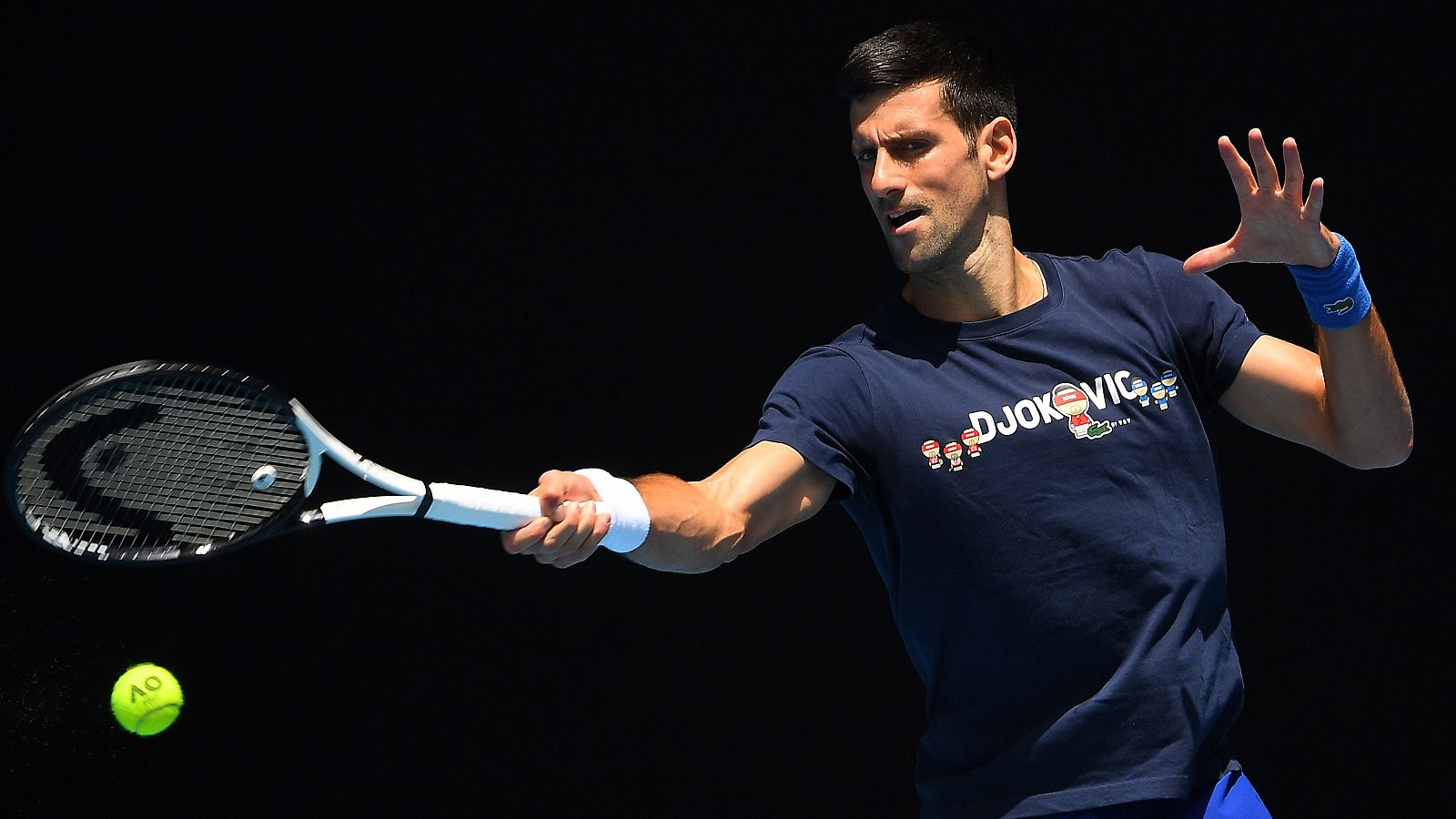 Djokovic reconoce errores en su documentación de entrada a Australia