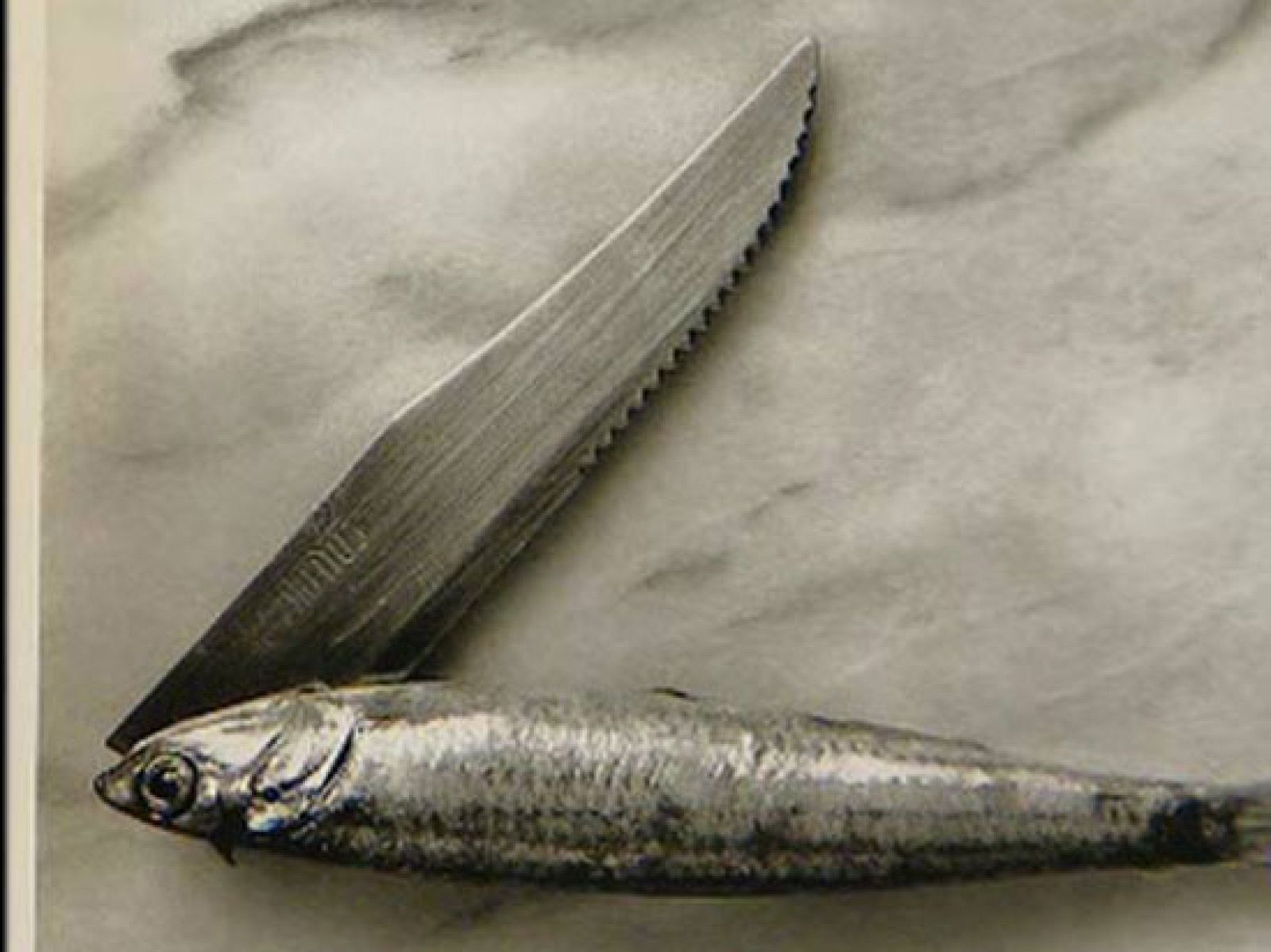 Greguerias ilustradas por el fotógrafo Chema Madoz