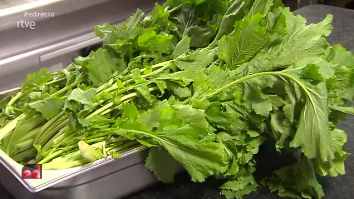 España Directo - Del campo al plato, el ritual de los grelos gallegos