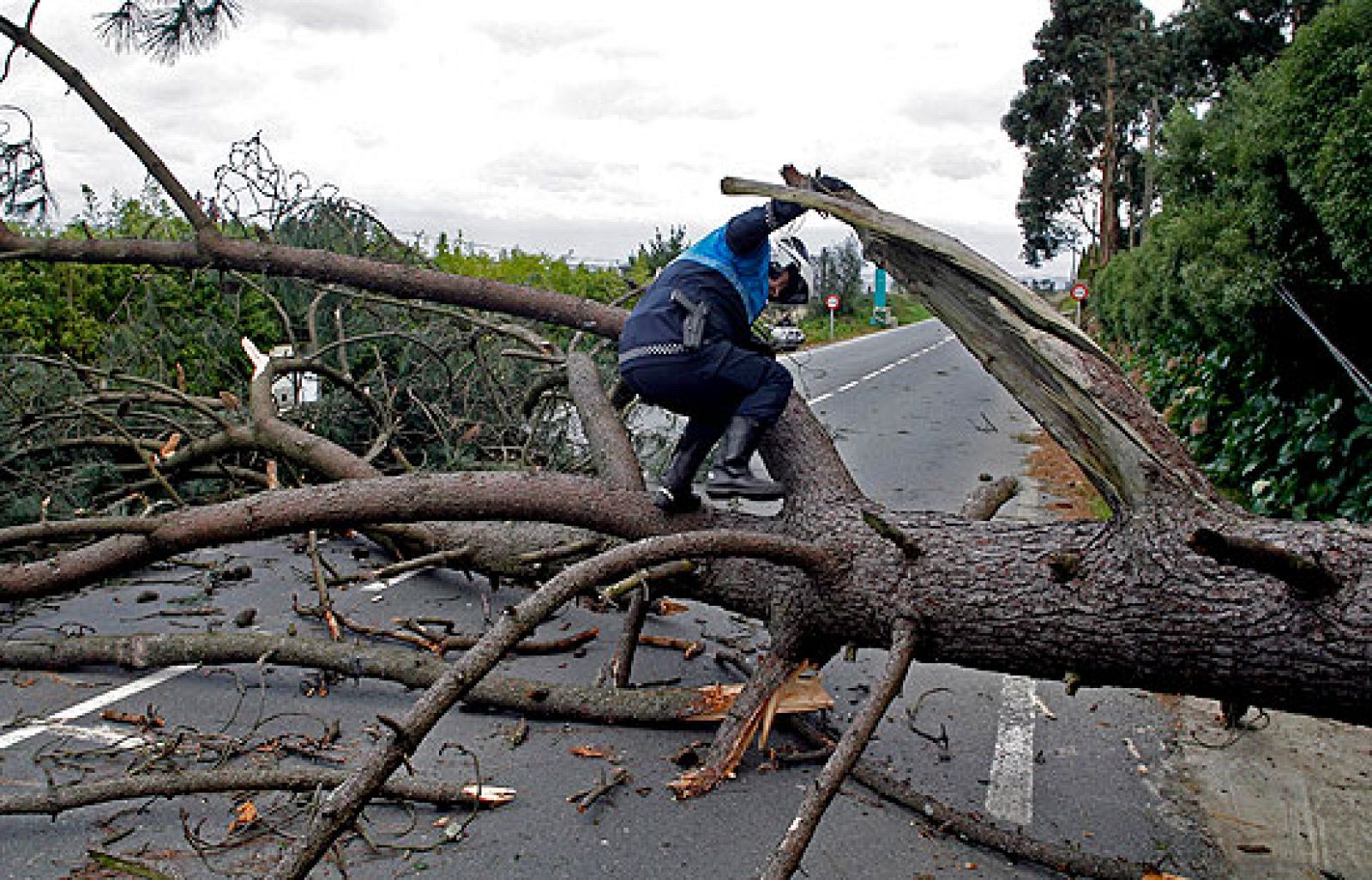 Temporal en el norte