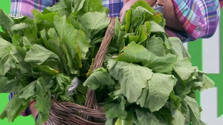 Aquí la Tierra - ¿Nabizas, nabos o grelos? esa es la cuestión