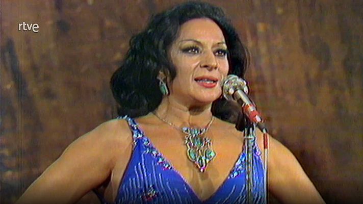 Viaje al centro de la tele - La familia es la familia. Grandes éxitos