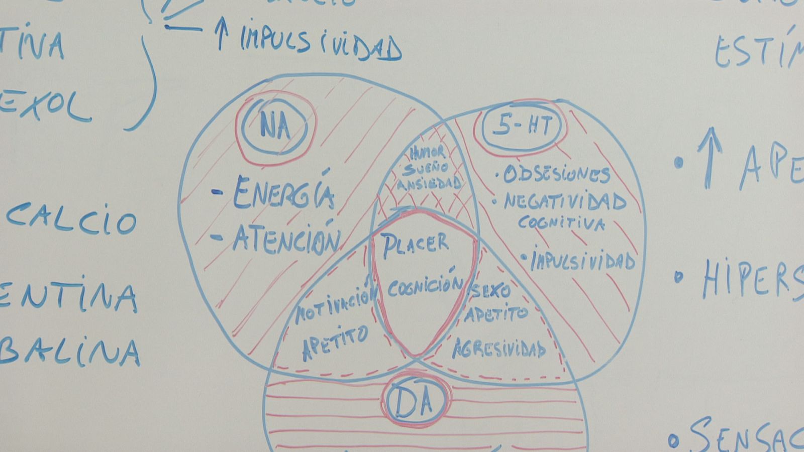Vídeo sobre Prevenir la depresión es posible