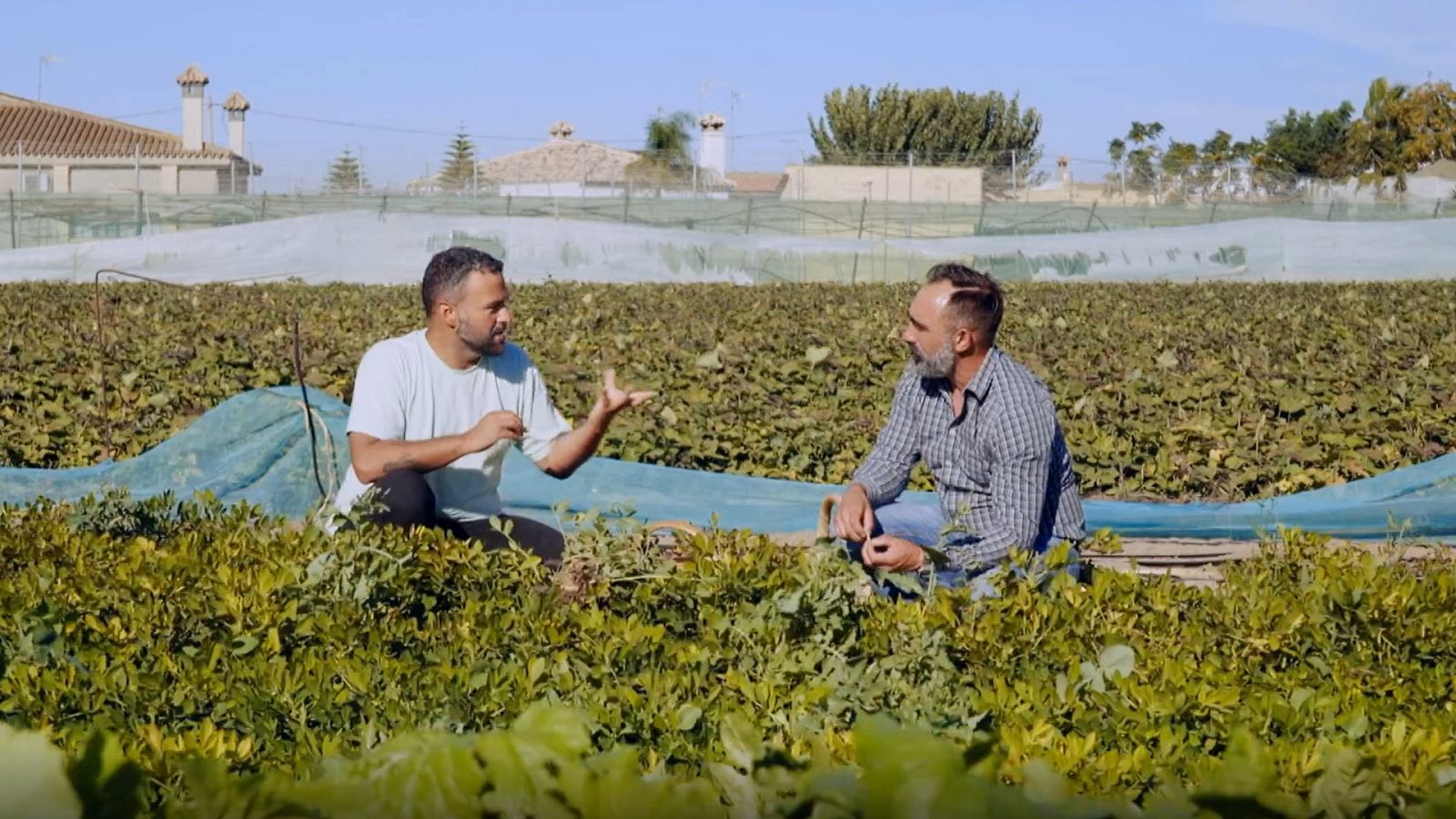 Las rutas d'Ambrosio - Cádiz sostenible - ver ahora