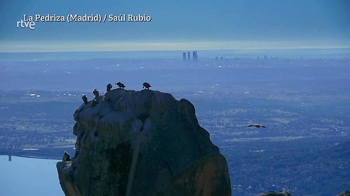 Aquí la Tierra - Aquí la Tierra - 13/01/22