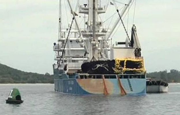  - Salen a faenar la mayoría atuneros