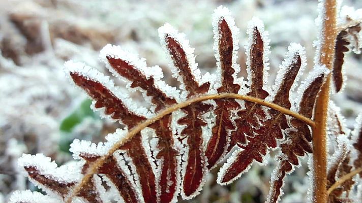El tiempo - Heladas de cierta intensidad en buena parte del interior del norte y este de la Península, así como en Baleares