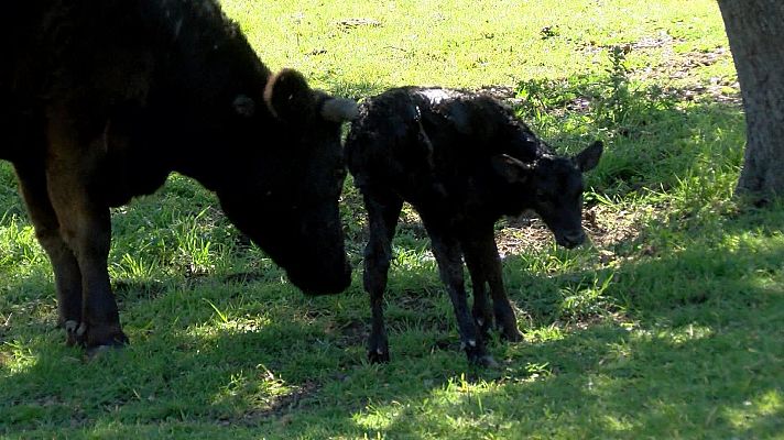 Tendido cero - Tendido cero - 15/01/22