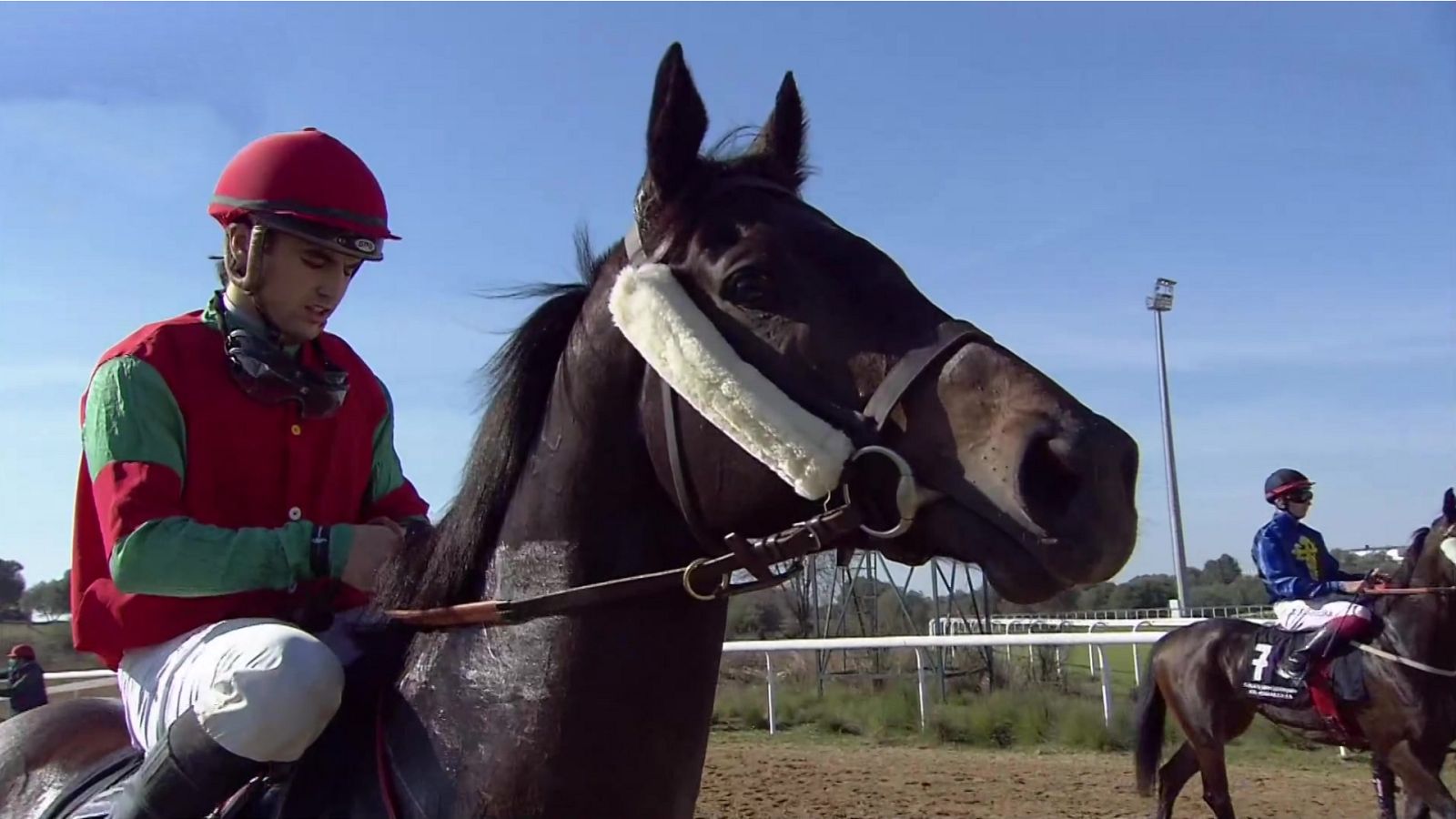 Hípica - Circuito nacional de carreras de caballos desde el Hipódromo de Dos Hermanas (Sevilla) - ver ahora