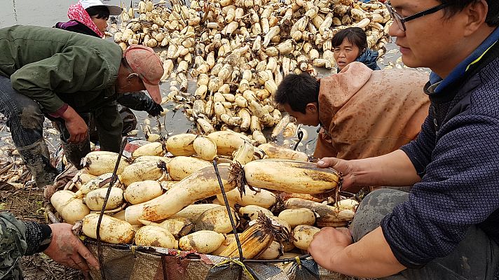 Cazador de manjares: En la Ruta de la Seda - Heyang