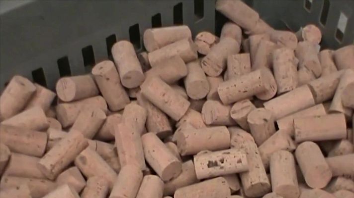 Emprende Express - Emprende Express - 17/01/22