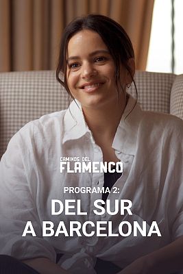 Caminos del Flamenco - Del Sur a Barcelona