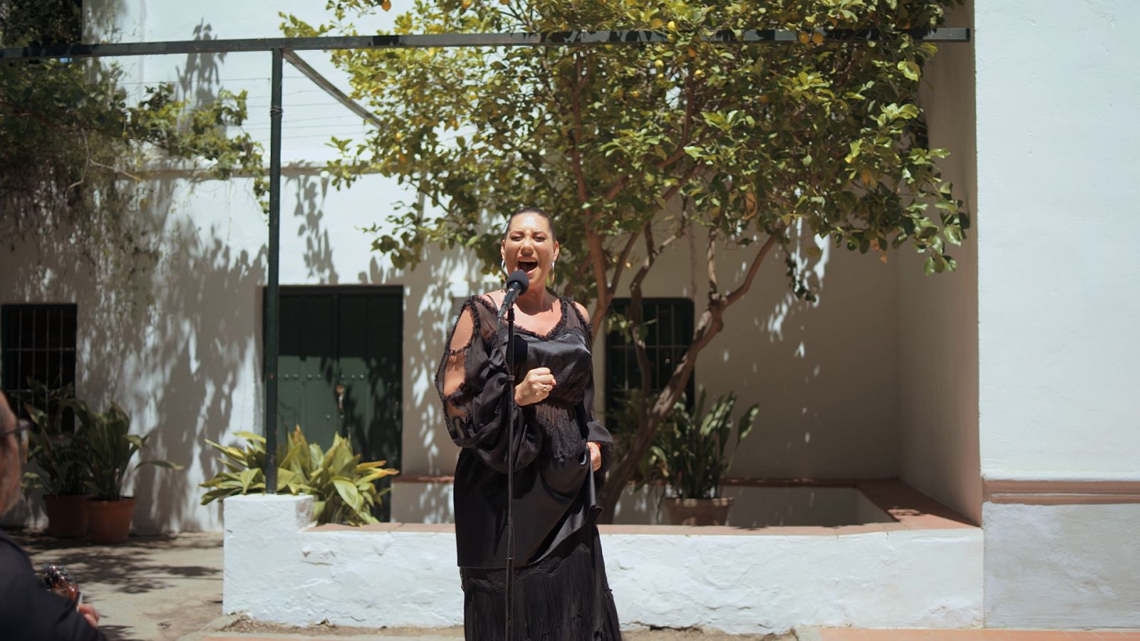 Marina Heredia en 'Caminos del flamenco'