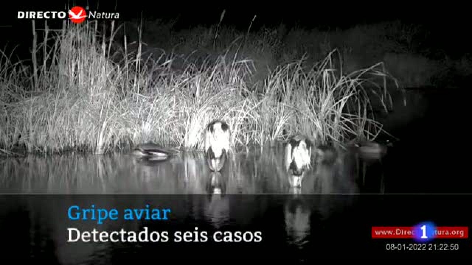 Castilla y León en 1' - 18/01/22
