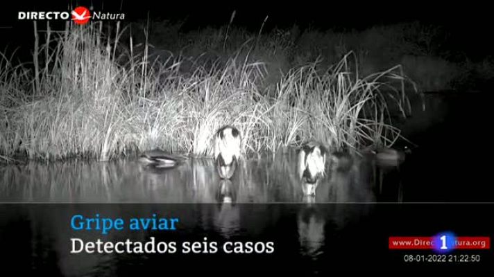 Noticias de Castilla y León - Castilla y León en 1' - 18/01/22