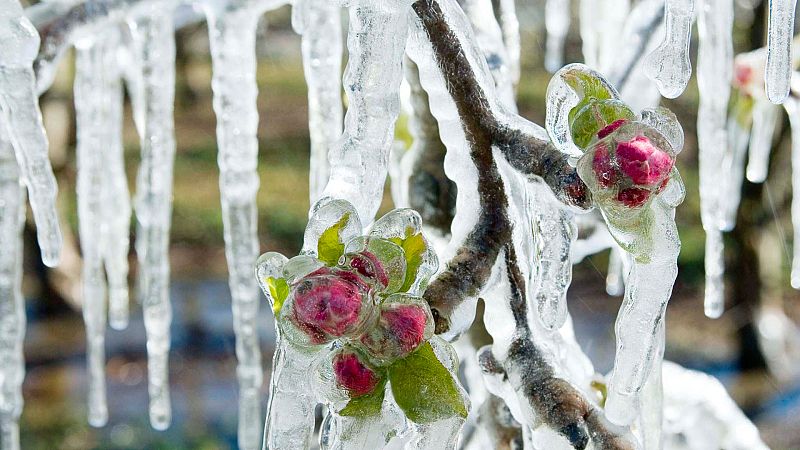 Las bajas temperaturas provocan problemas en Lleida