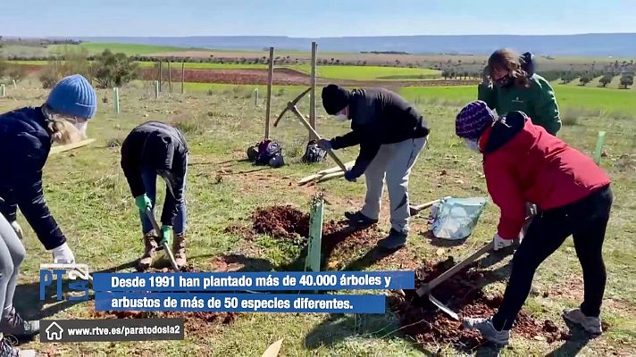 Para todos La 2 - Recuperar los bosques reforestando