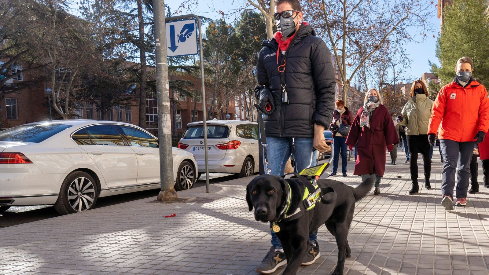 Xabat, el único perro guía del mundo que permite caminar por la vida a Alberto, un joven ciego sin brazos