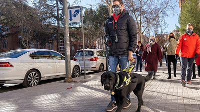 Xabat, el �nico perro gu�a del mundo que permite caminar por la vida a Alberto, un joven ciego sin brazos