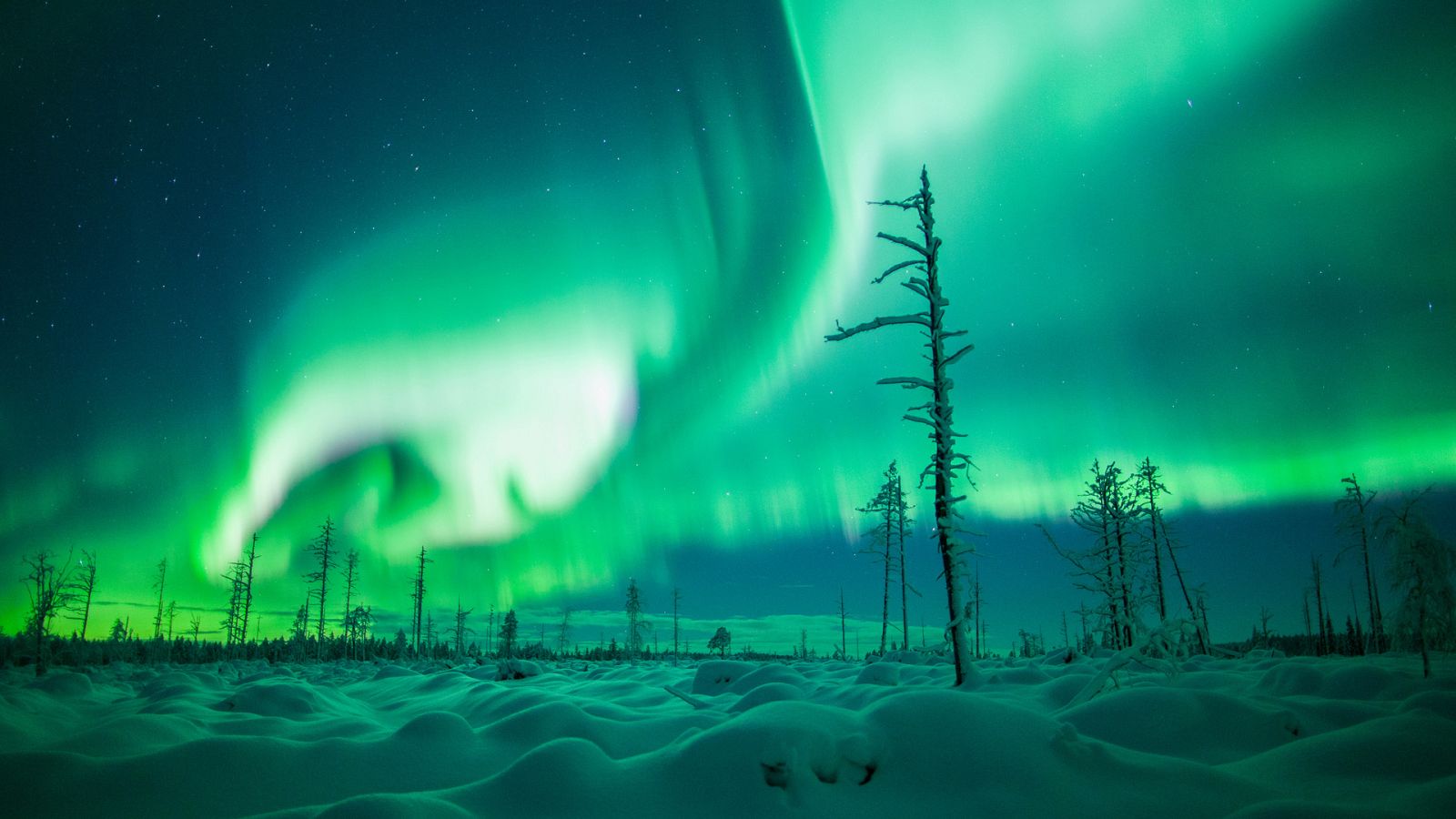 Somos documentales - El cielo en llamas - ver ahora