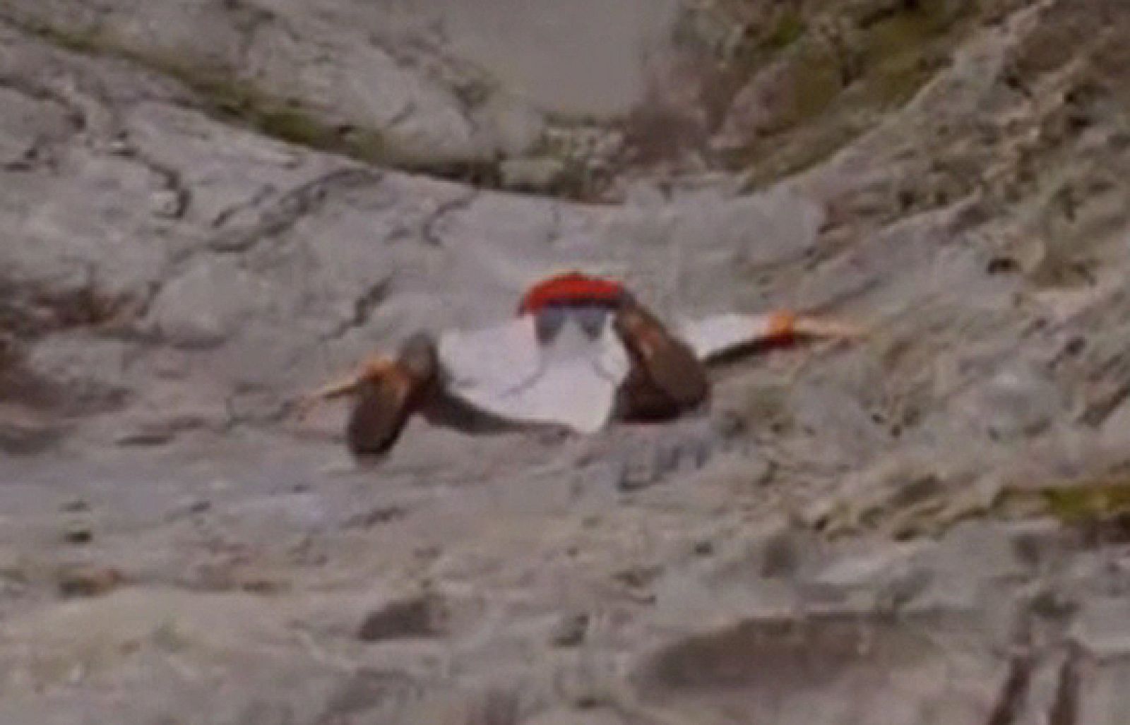 Un grupo de arriesgados aventureros se lanzan al vacío para volar durante unos segundos antes de abrir su paracaídas.