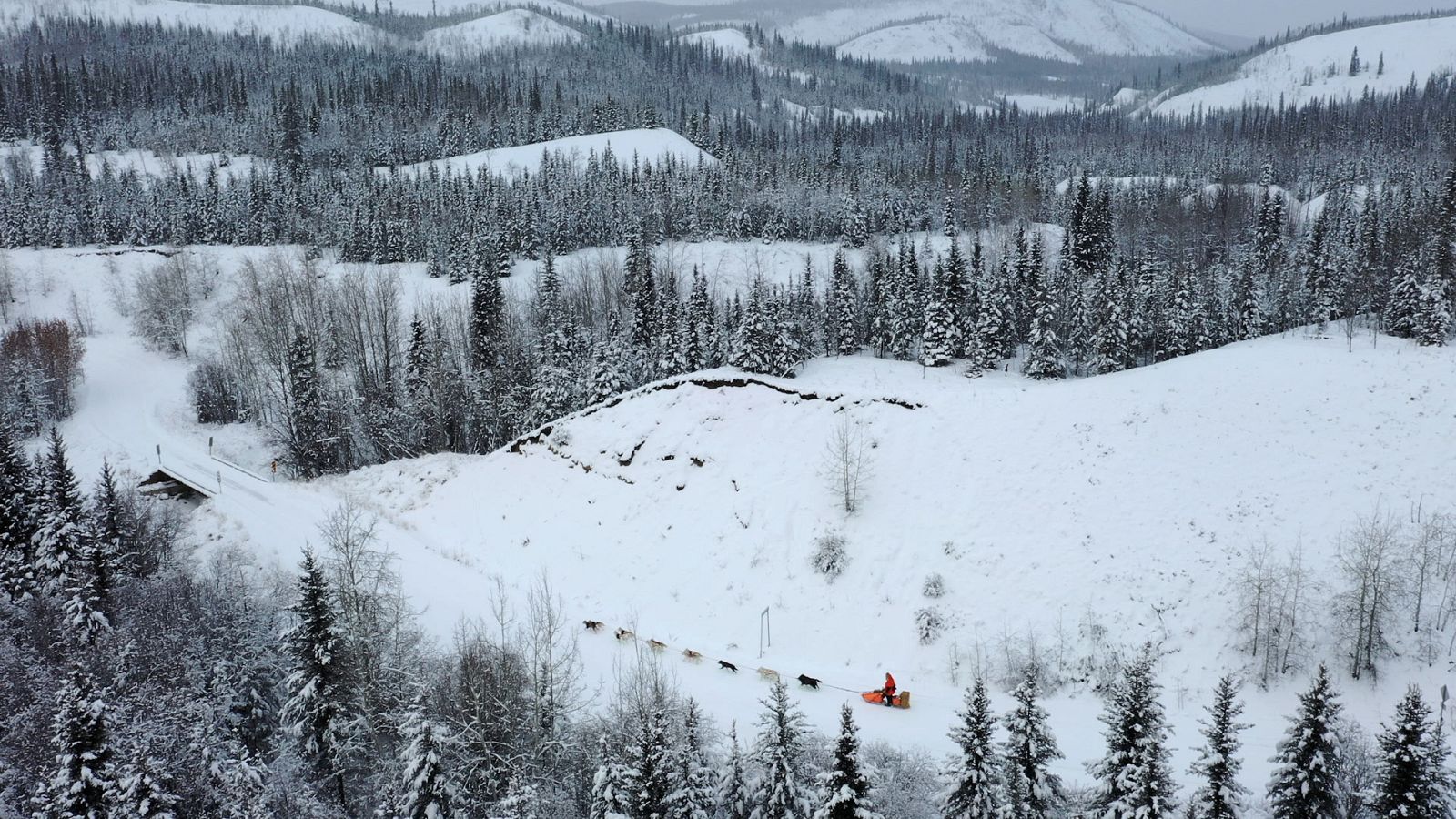 El buscavidas y el musher - La gran salida - ver ahora