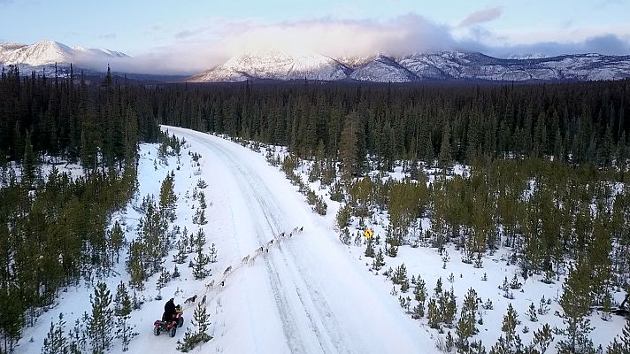 El buscavidas y el musher - Los personajes
