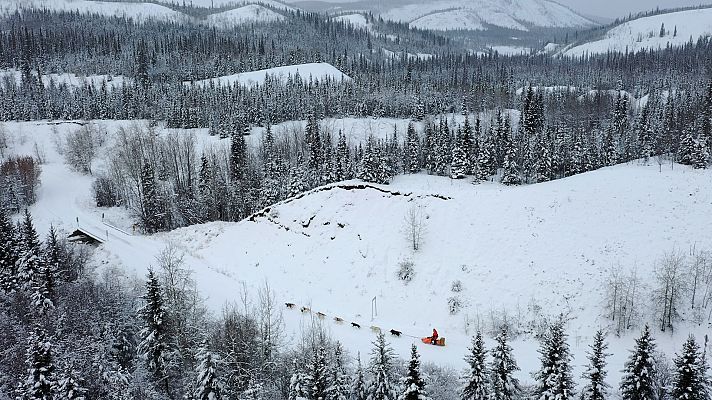El buscavidas y el musher - El desenlace