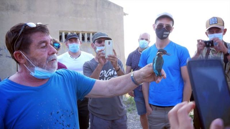 Iniciacin a la observacin de las aves*