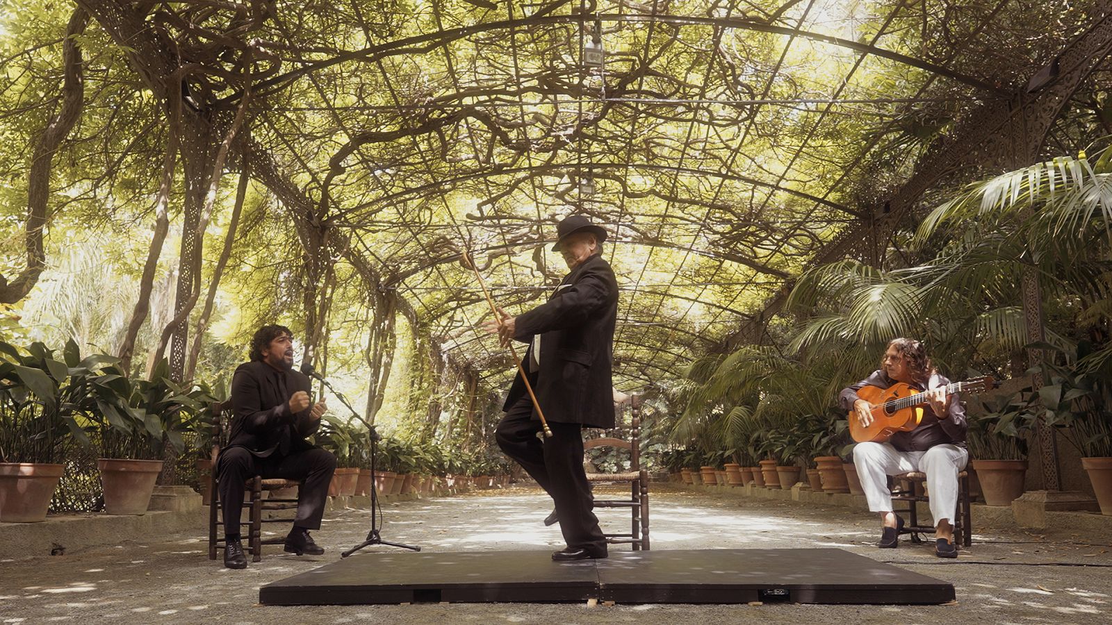 Actuación Carrete de Málaga en 'Caminos del Flamenco' en málaga - Caminos del Flamenco | Ver