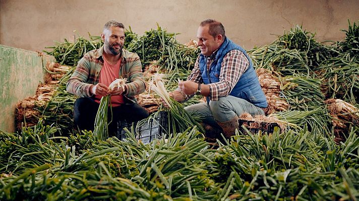 Las Rutas de... - Montes de Toledo