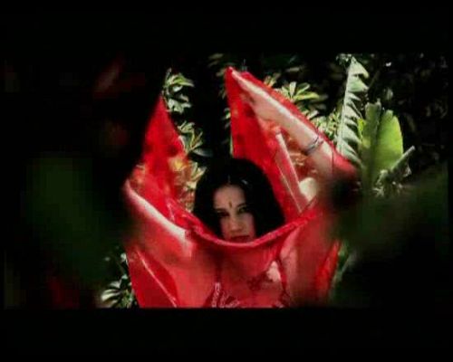 Disco del año 2009 - India - Despertar