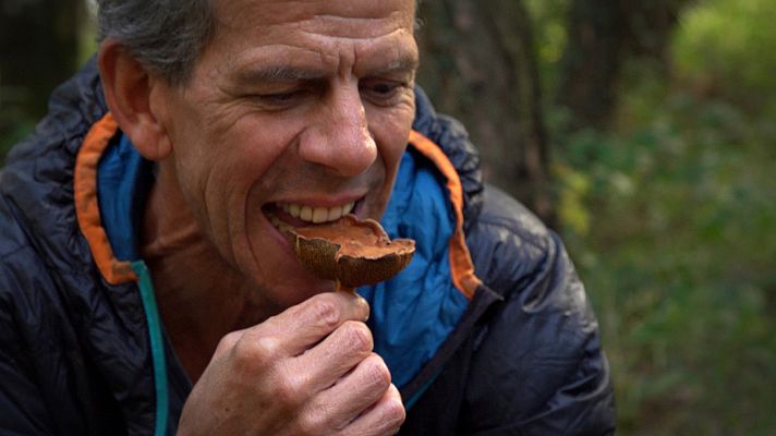 El señor de los bosques - Valle de Losa (Burgos)