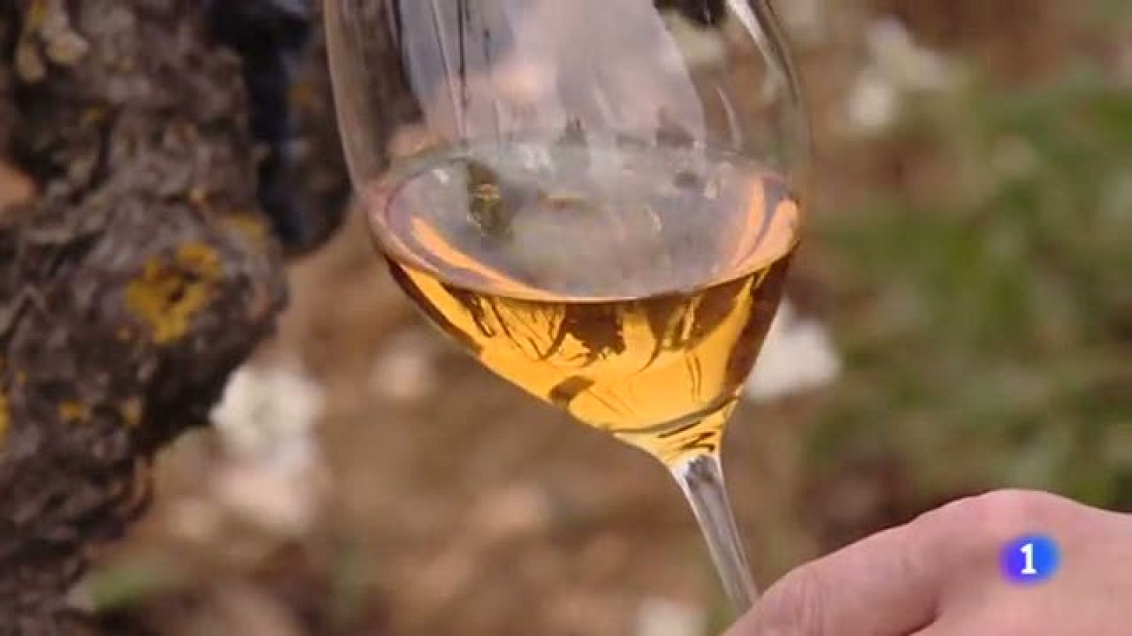 Telerioja en 2' - 21/01/22-Ver ahora