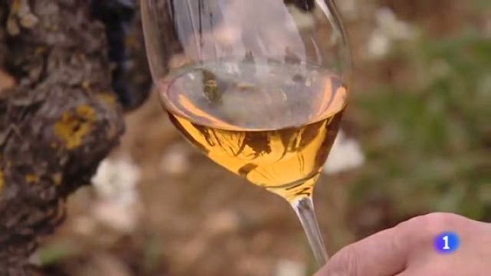 Informativo Telerioja - Informativo Telerioja - 21/01/22