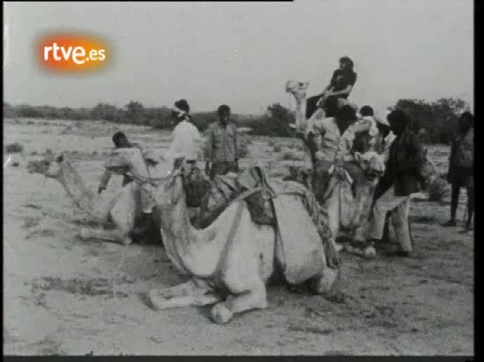 Imágenes de Miguel de la Quadra junto a la guerrilla eritrea en 1975 - Fue noticia en el Archivo de RTVE | Ver