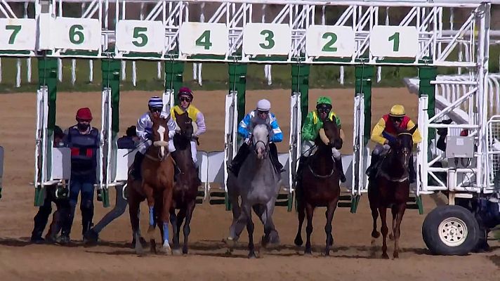 Hípica - Circuito nacional carreras de caballos (Hipód. Dos Hermanas)