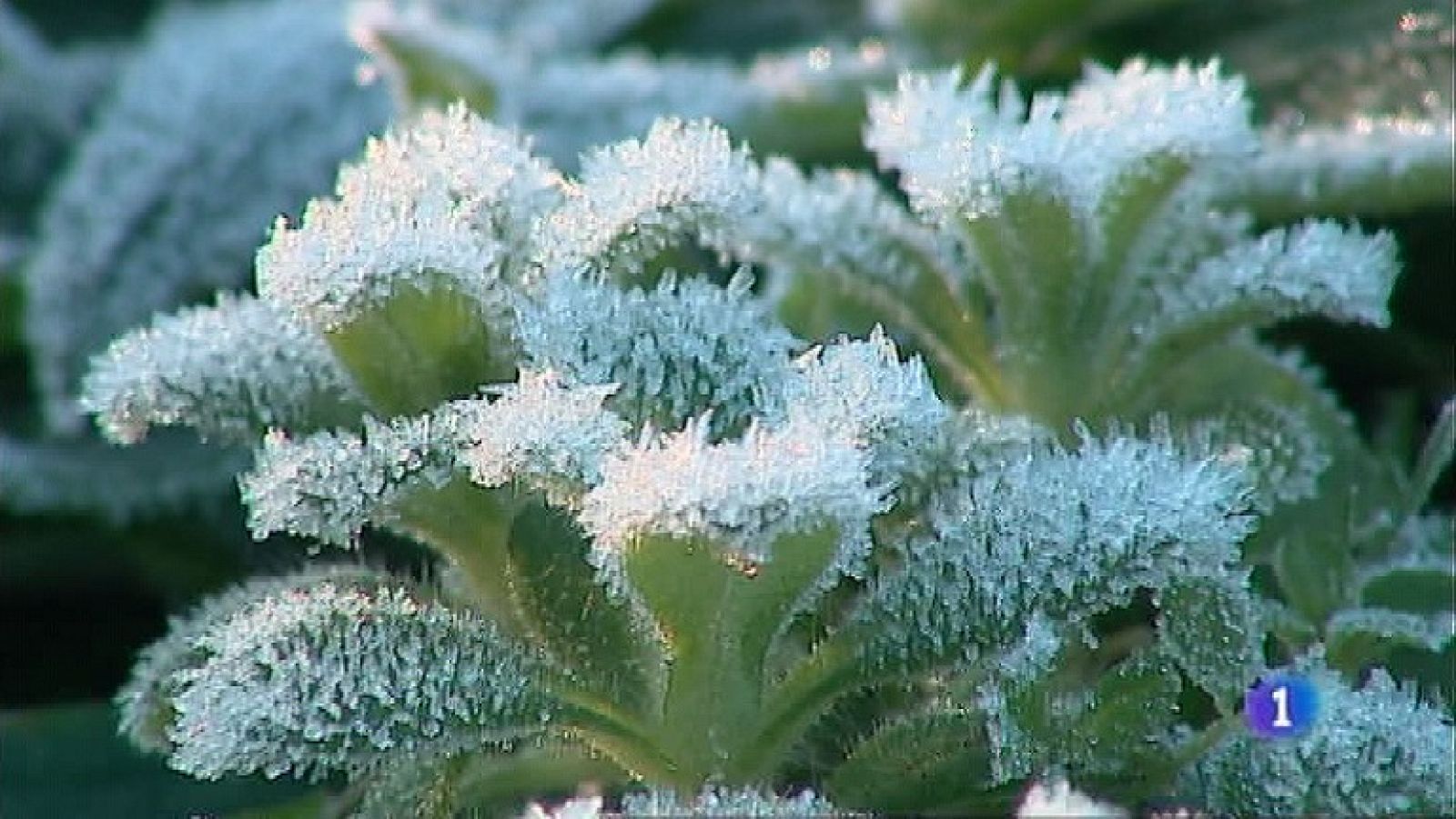 Asturias en 2' - 24/01/22 | Ver