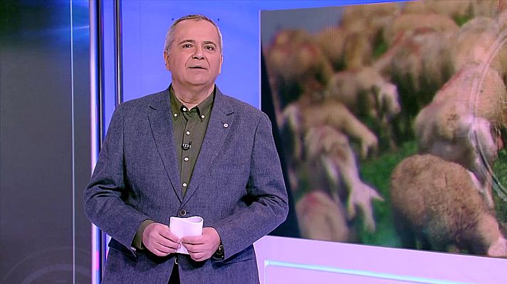 Emprende Express - Emprende Express - 24/01/22