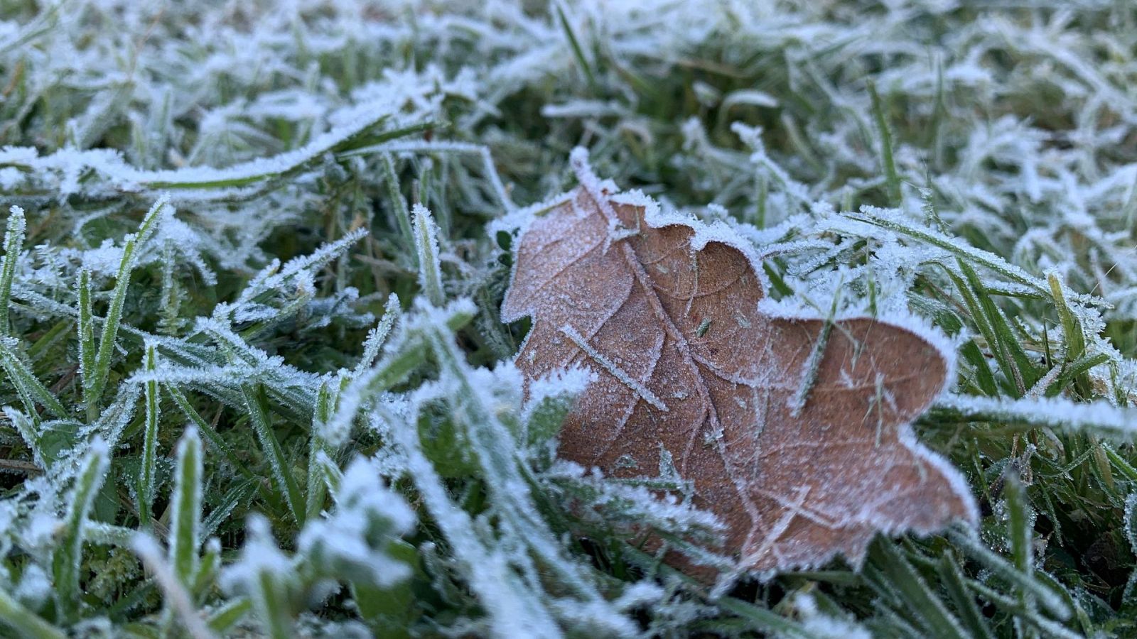 Intensas heladas en el norte peninsular - El tiempo | Ver