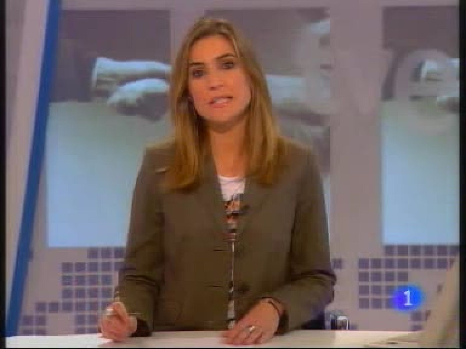 L'informatiu - Gossos d'assistència | Veure