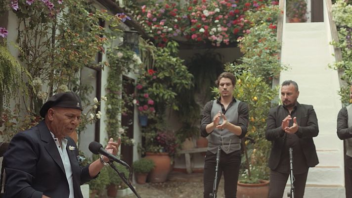 Caminos del Flamenco - Caminos del flamenco - Actuación de El Pele