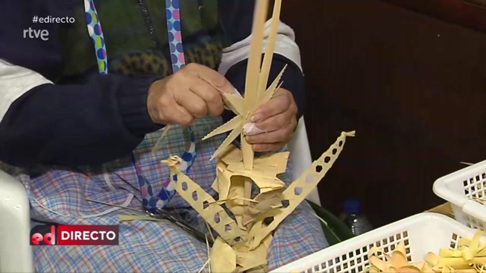 España Directo - Cómo se hacen las palmas de Elche