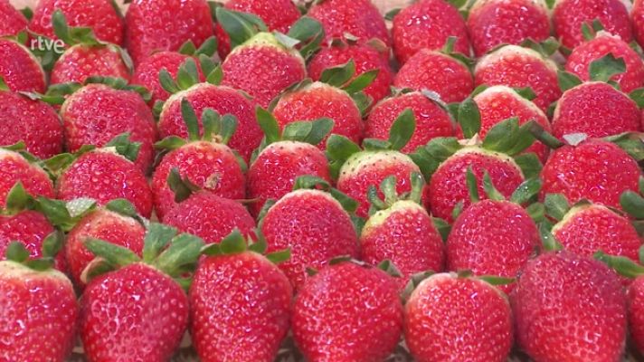 Aquí la Tierra - Fresas en enero, ¿ya es temporada?