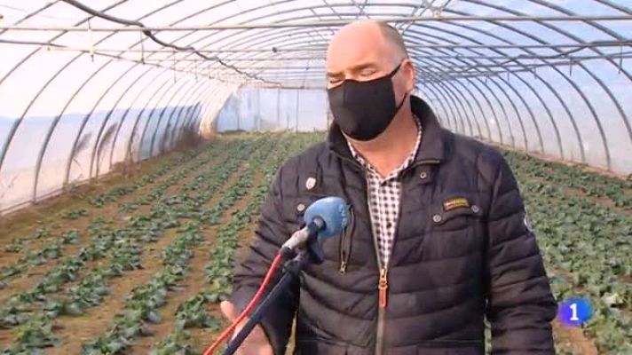 Informativo Telerioja - Telerioja en 2' - 25/01/22