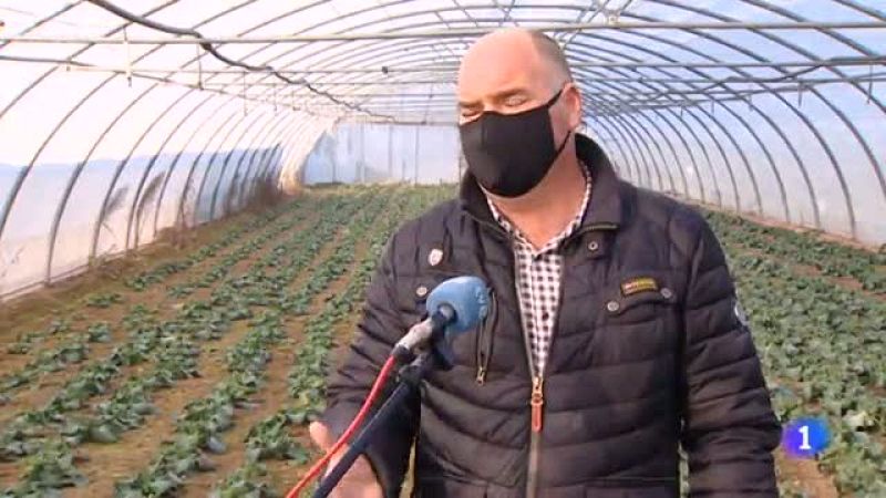 Telerioja en 2' - 25/01/22-Ver ahora